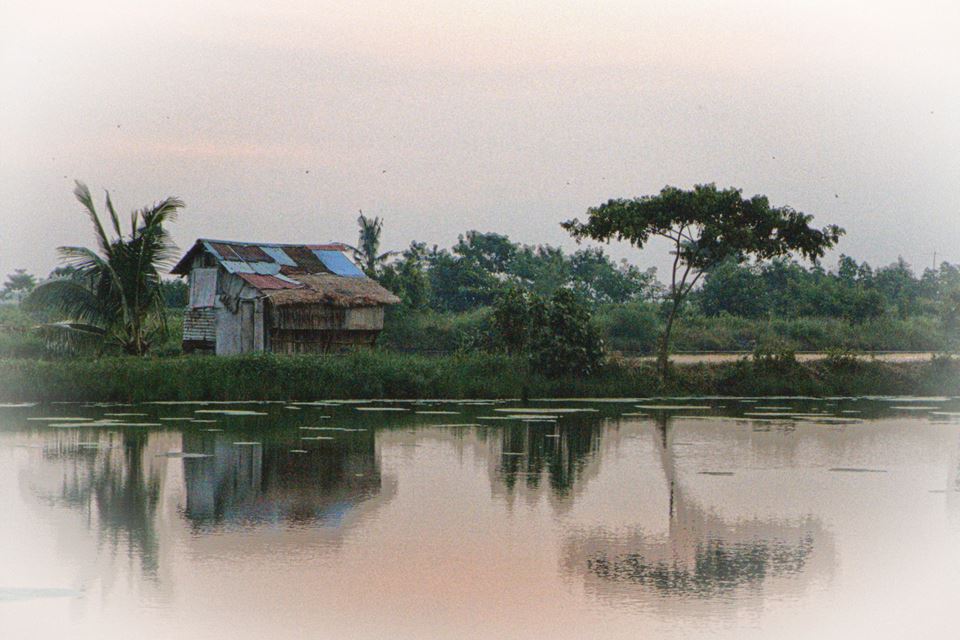 Rainy view of a hut by a flooded ricefield, in the Tropics