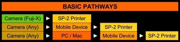 Basic-Pathways