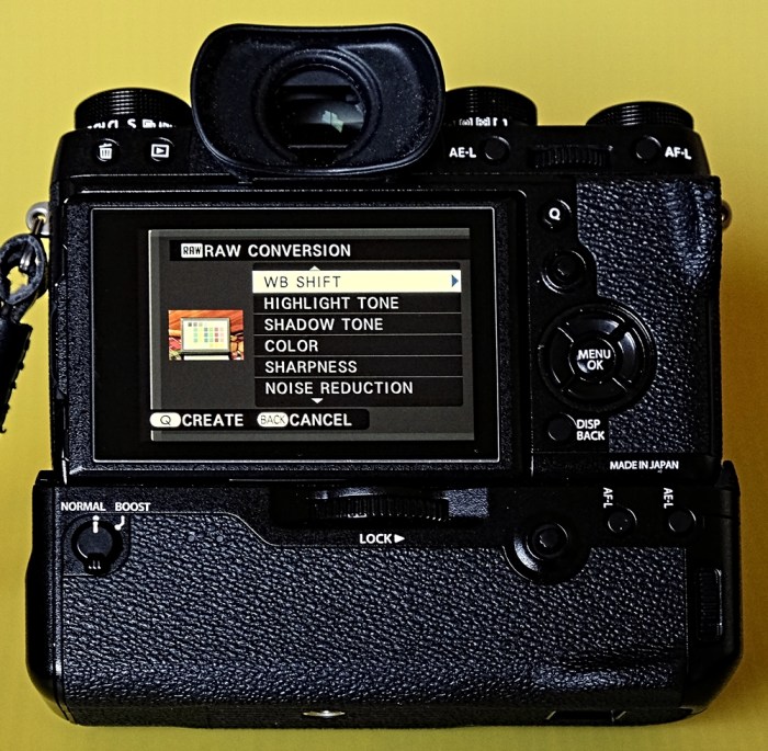 domvarney-xt12172-incameraadjustments