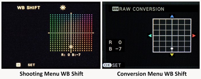 domvarney-xt12178-wb-shift