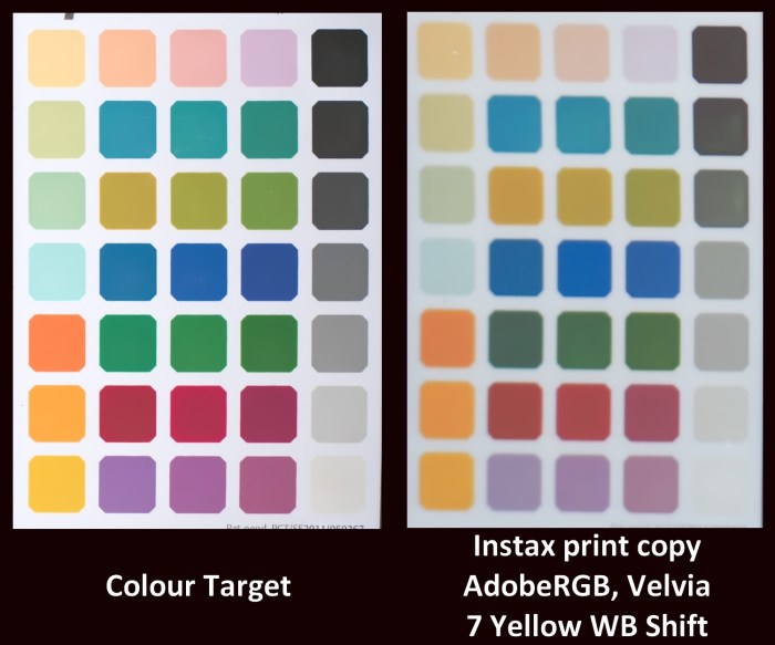 domvarney-xt22875-instax-wbshift7y